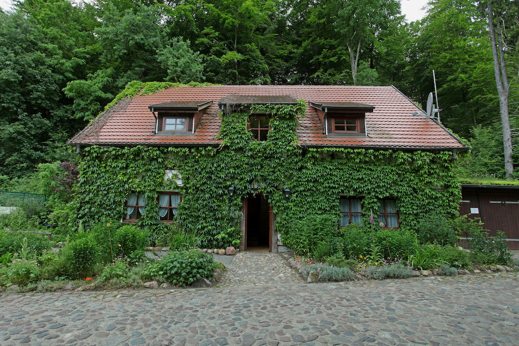 Hotel Boltenmuehle Guhlen Glienicke Camera foto